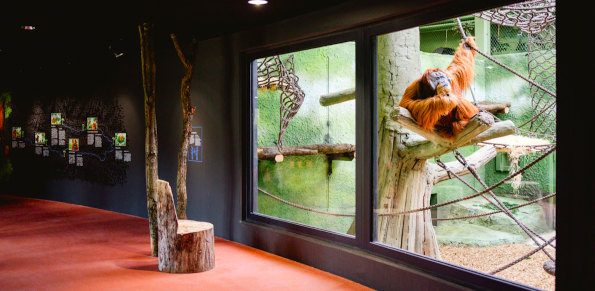 Dresden Zoo